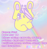 Suni Holographic sticker
